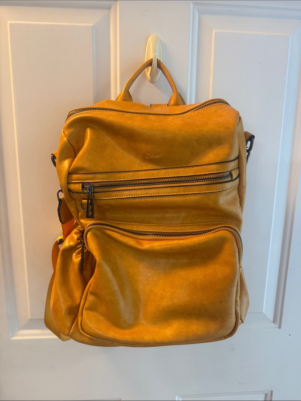 Leather Backpack